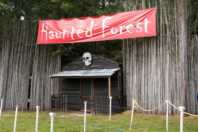 Haunted Houses in GA - Buford Corn Maze & Haunted Forest