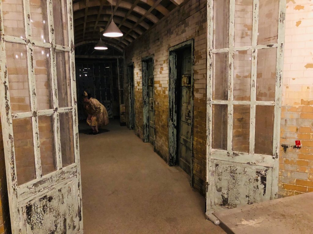 Haunted Houses in Michigan - Eloise Asylum