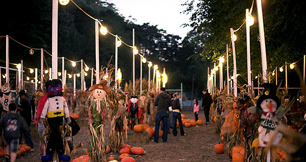 Haunted Houses in San Francisco - Piedmont Pumpkin Patch Haunted House